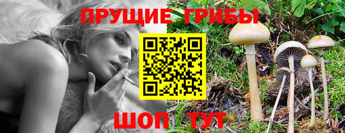 Псилоцибиновые грибы ЛСД Россия