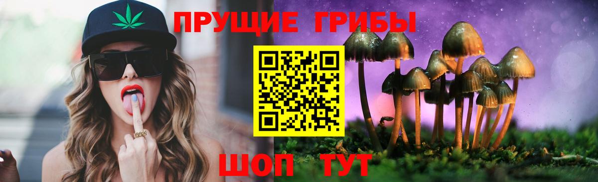 Галлюциногенные грибы MAGIC MUSHROOMS  Вход с VPN  Россия  Псилоцибиновые грибы Magic Shrooms 